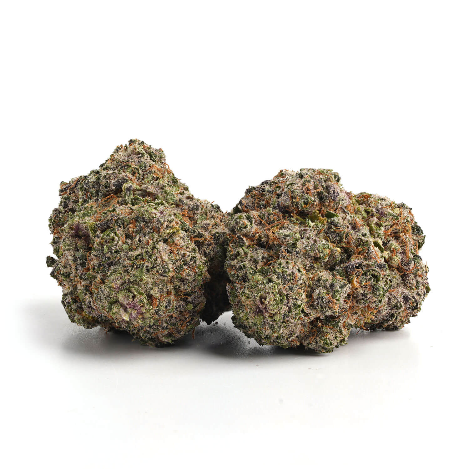 Mango-Sherbert-5 Mango Sherbert 5 1