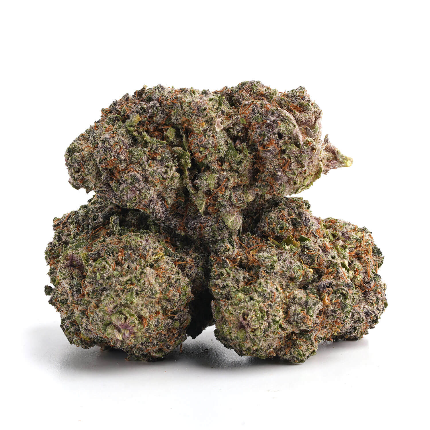 Mango-Sherbert-6 Mango Sherbert 6 1