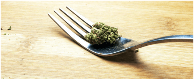 What Happens When You Eat Weed