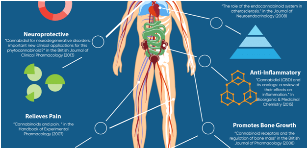 anti inflammatory properties of cbd oil