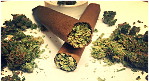 Rolling blunts with fresh flowers