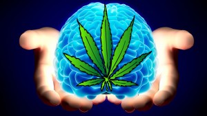 Weed helps your brain
