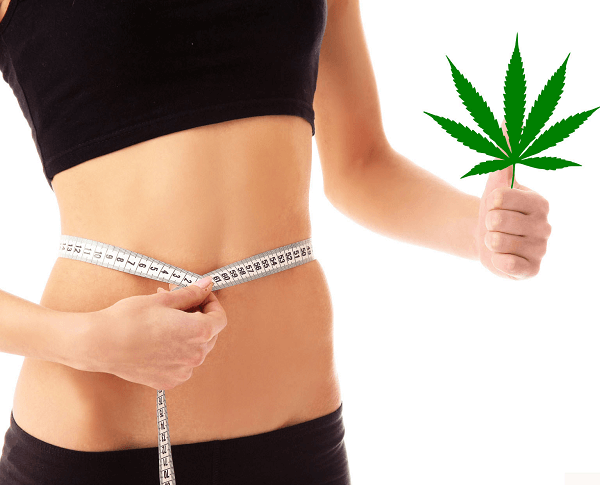 Marijuana and weight loss