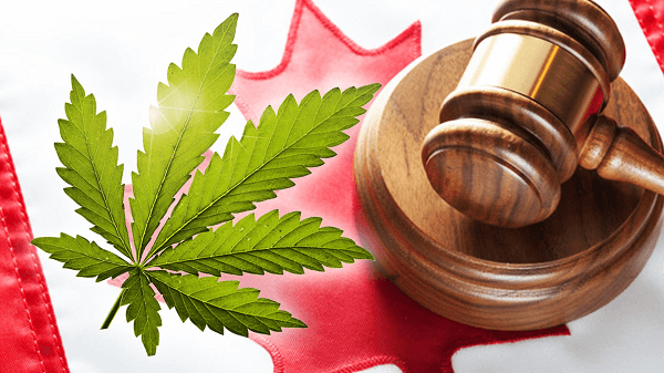 How the Cannabis Act protects minors in marijuana legalization