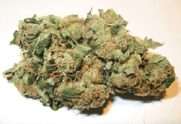 Super Sour Diesel marijuana strain