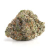 White Rhino