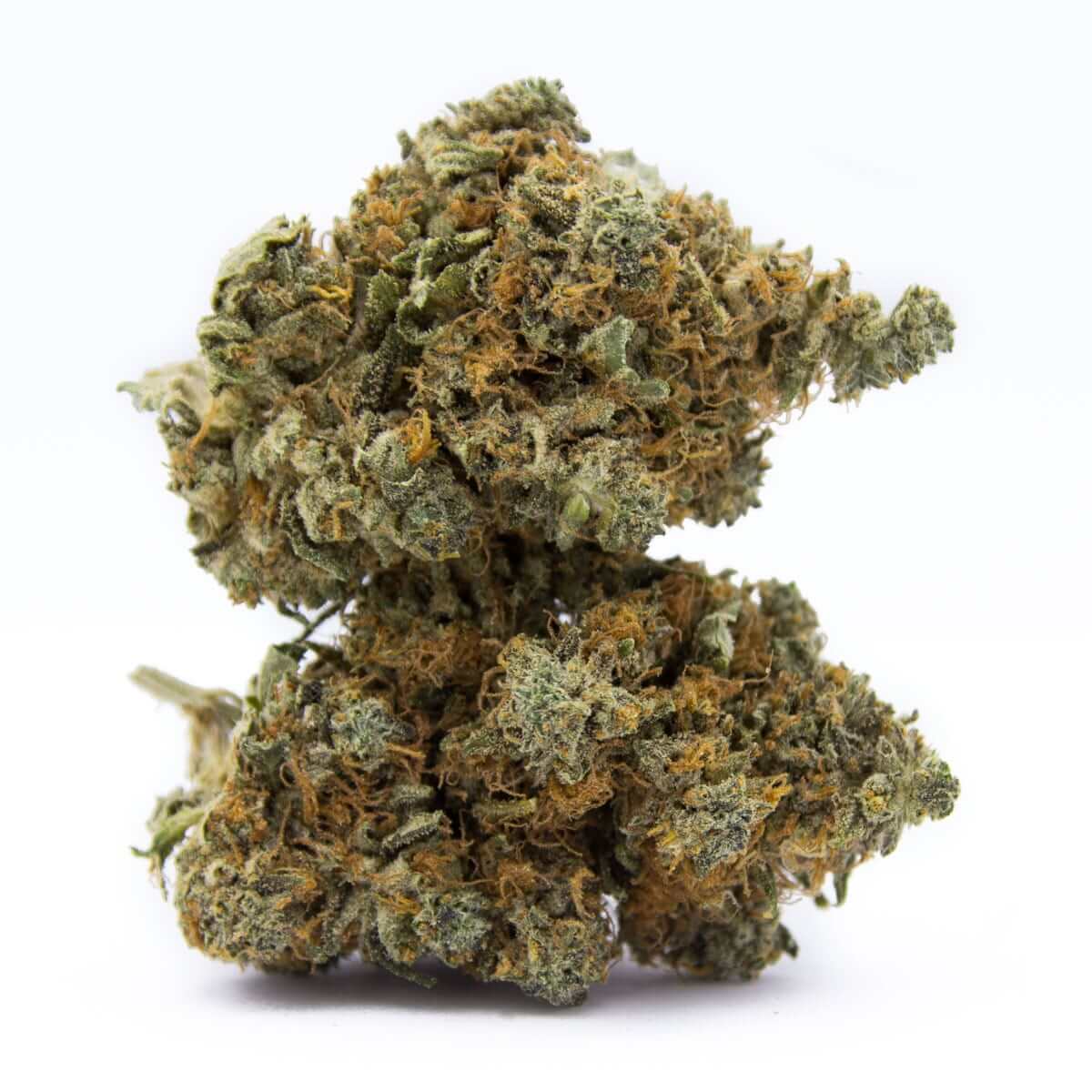 Master Kush Strain | Cannabismo