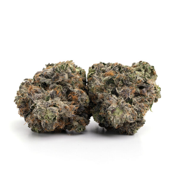 Afghan Hammer 1