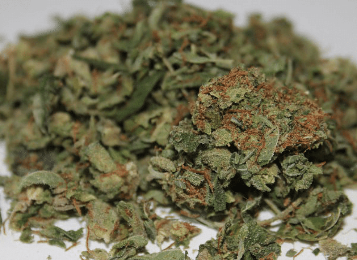 Marijuana strain