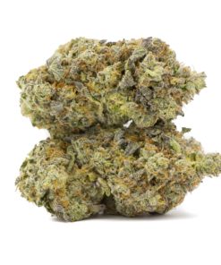 Polynesian Thin Mint Strain | Cannabismo