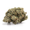 Platinum Cookies Strain