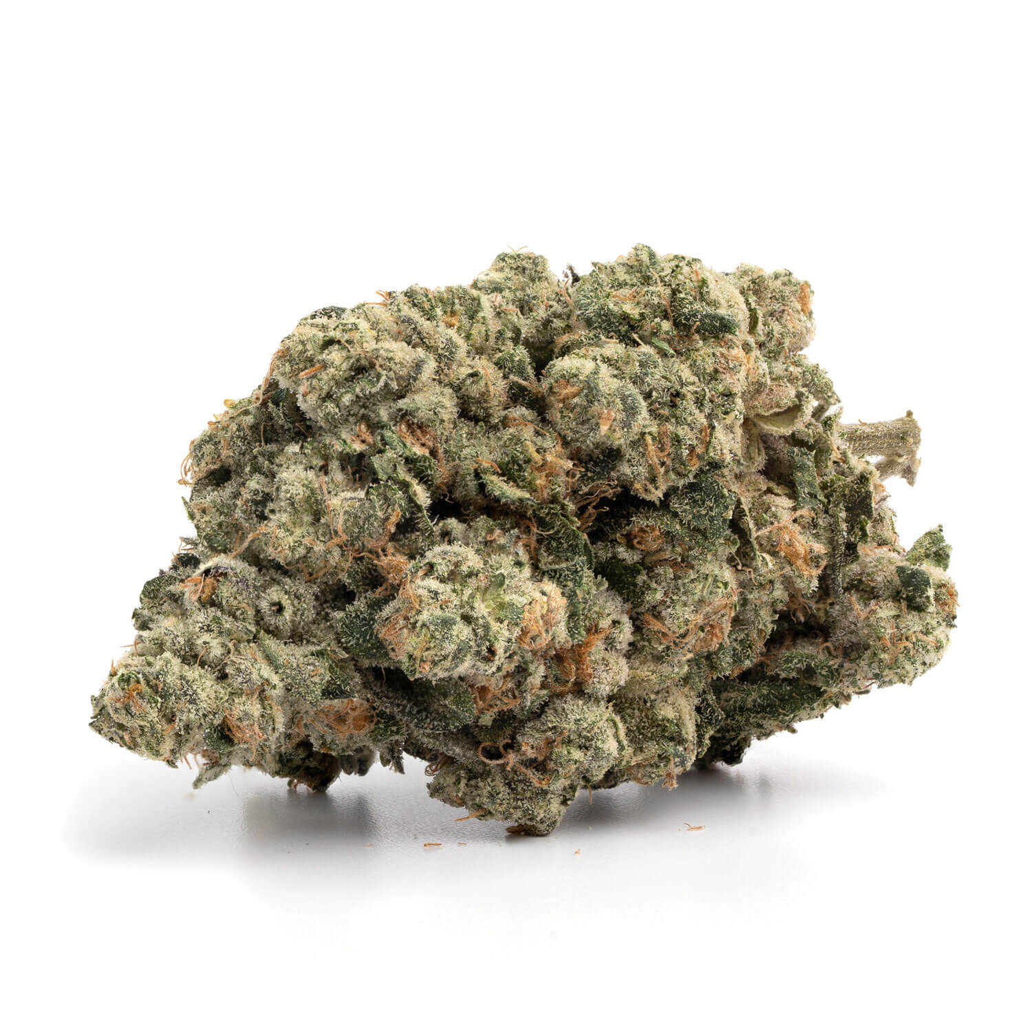 Platinum Cookies 1 Platinum Cookies Strain