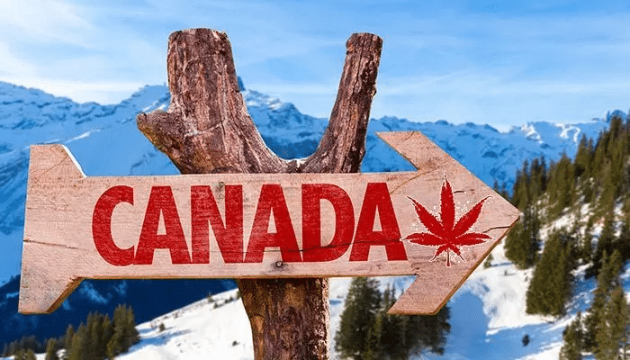 how to buy marijuana in canada