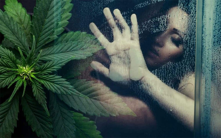 What are the Best Weed Strains for Sex Cannabismo