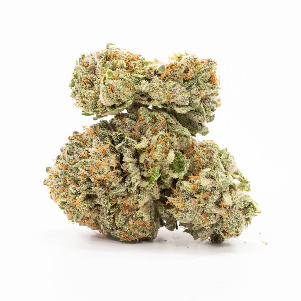 Purple Kush Strain Cannabismo Buy Weed Online Canada