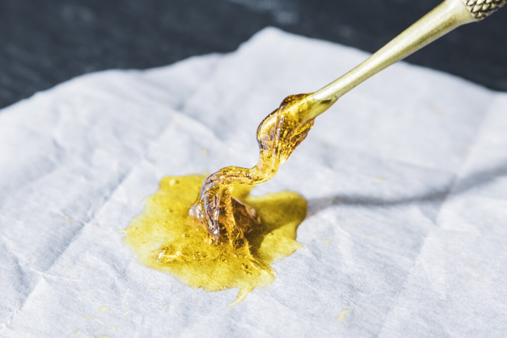 Cannabis Honey Oil: A Guide for Beginners - Cannabismo