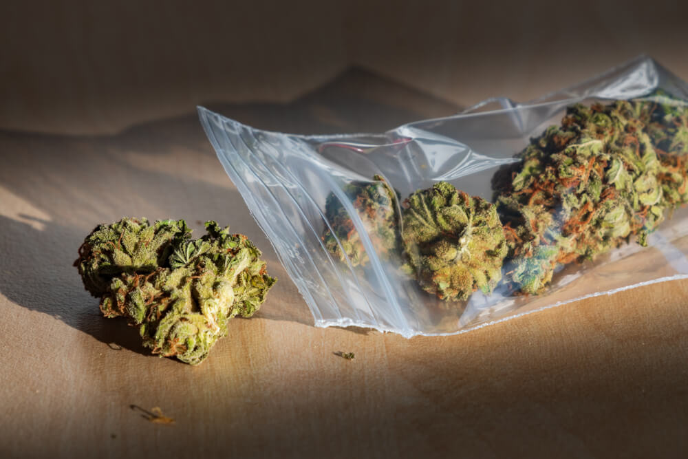 Dime Bag - An Old-School Weed Measurement | Cannabismo