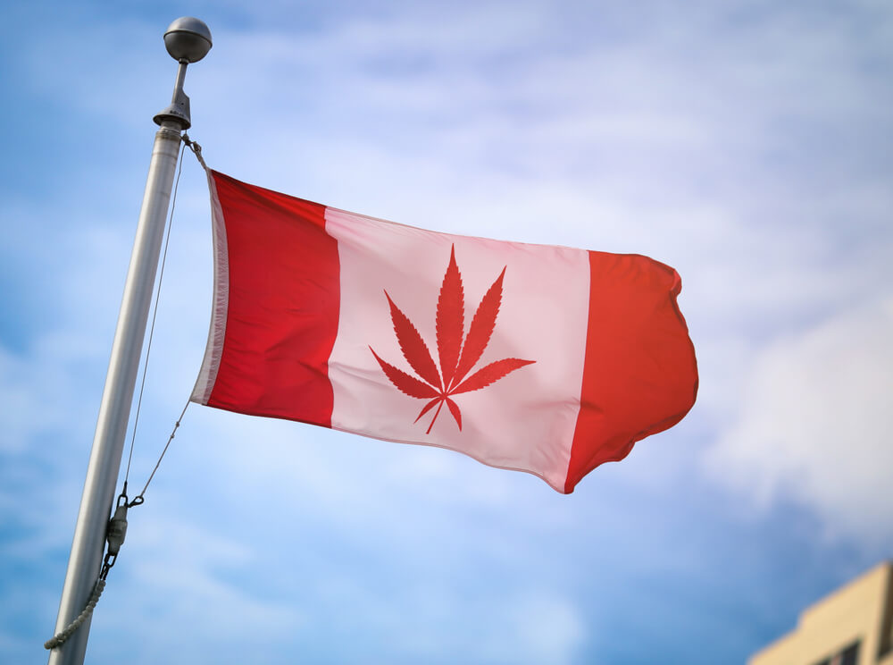 cannabis day in canada