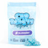 blueberry cbd blasts gummies