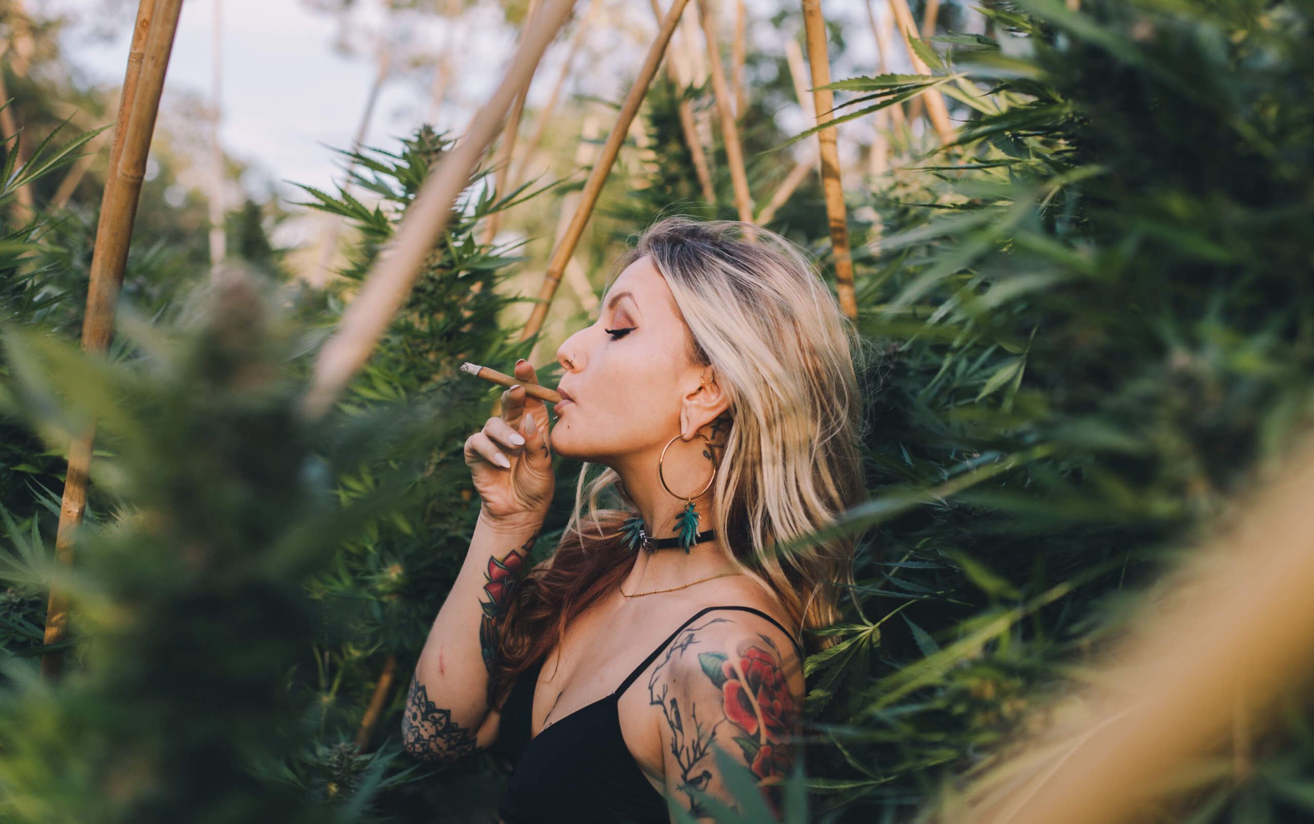 how to smoke weed