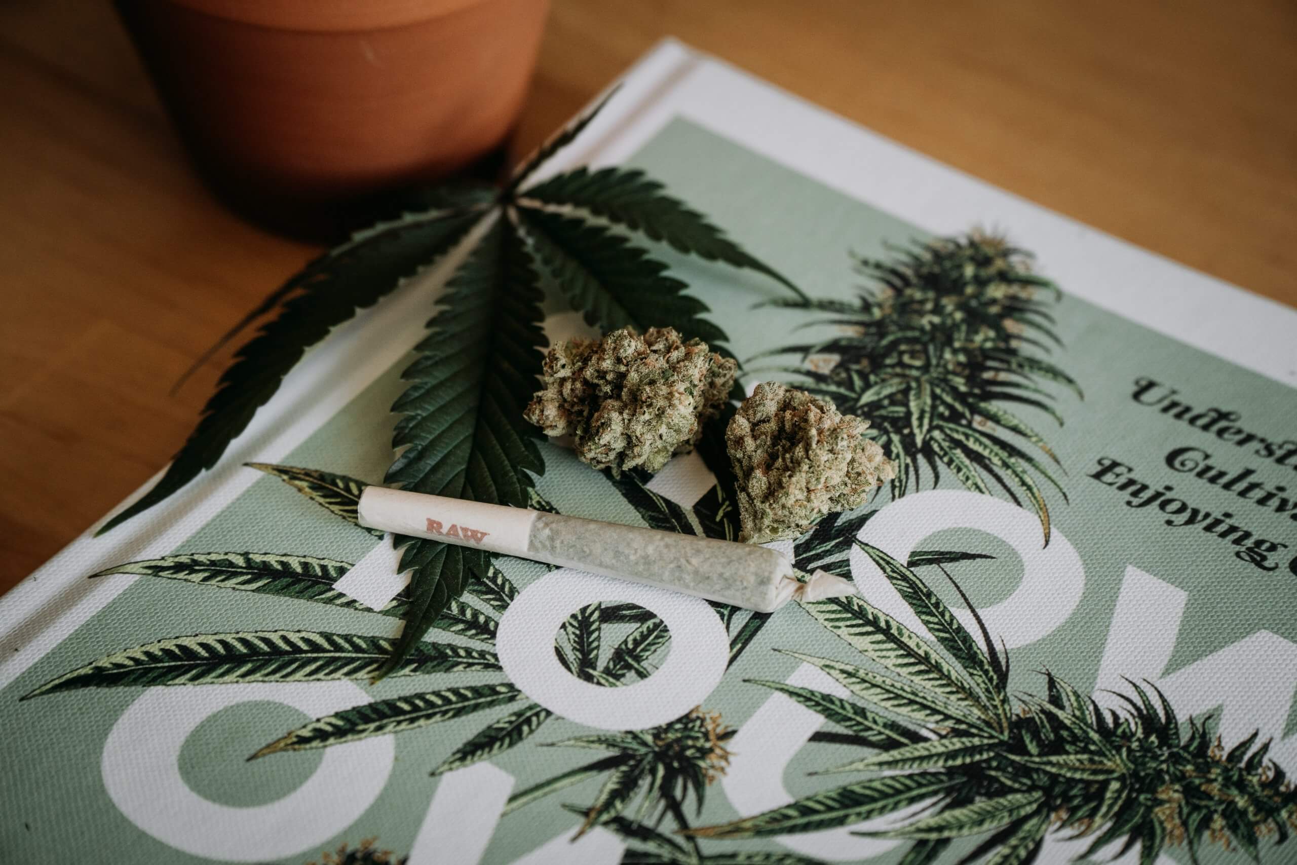 Cannabis Lingo 101: 420 Friendly & What it Means