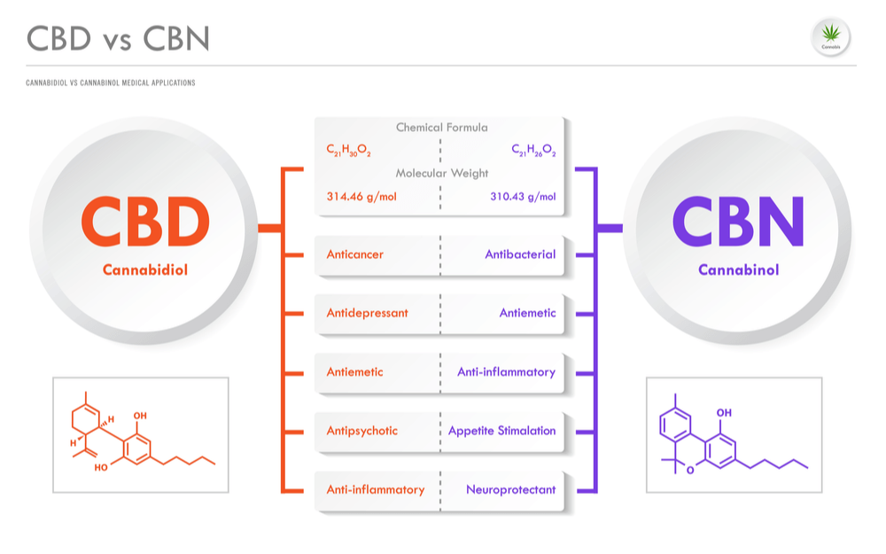 cbn vs cbd