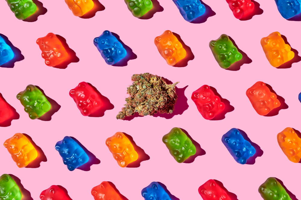 How Long For Edibles to Kick In? 3 Things to Consider | Cannabismo