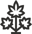 Cannabismo Icon 2