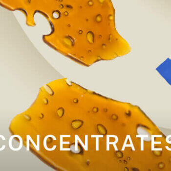 Concentrates Category 350X350 1