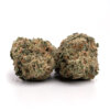 Purple punch strain