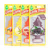 LittleTrees-Air-Freshener-Bundle-Shot
