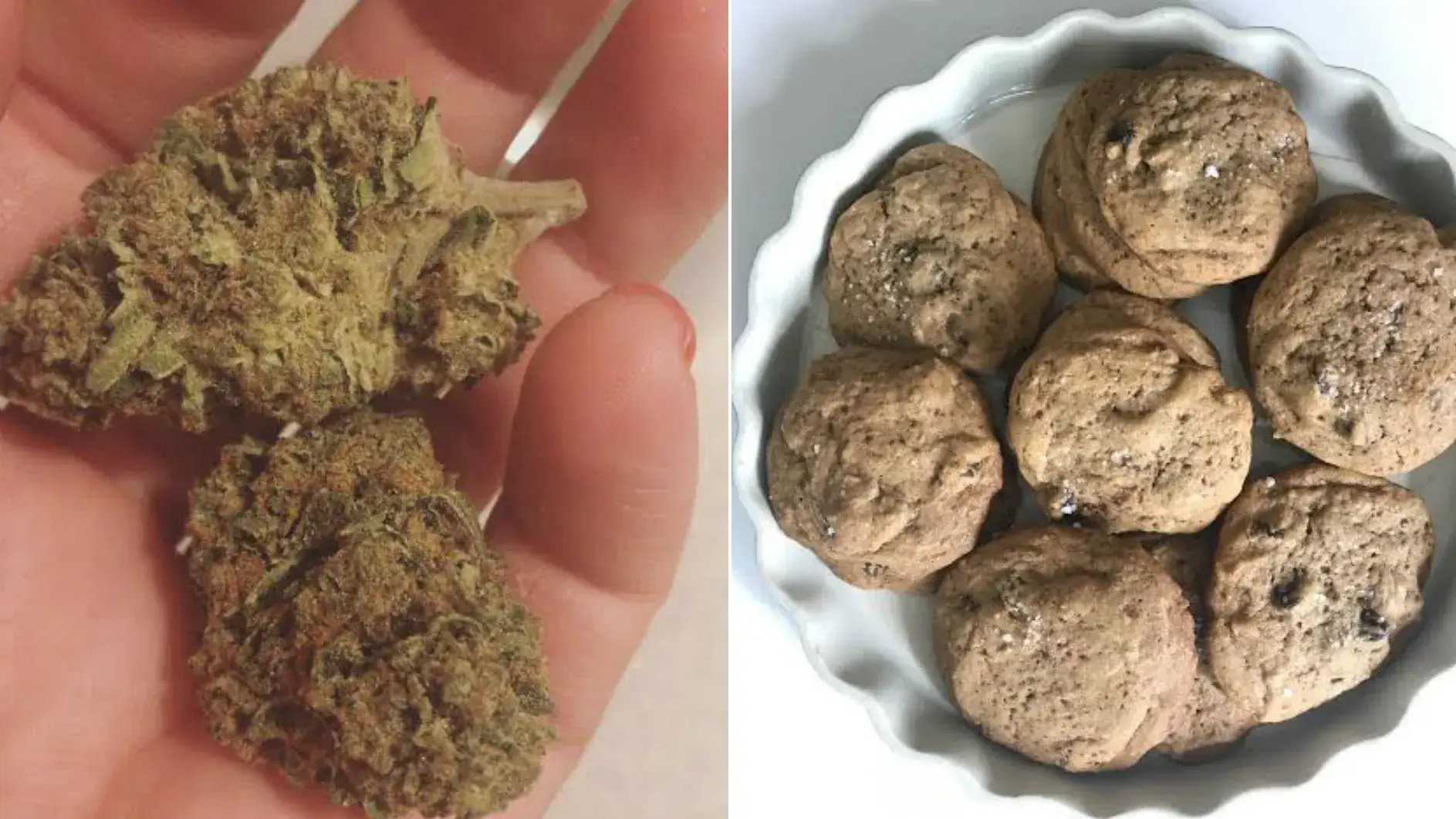 Edibles with Bad Weed?