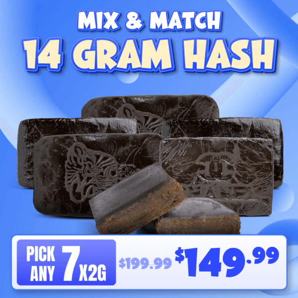 build-your-own-hash-14-grams
