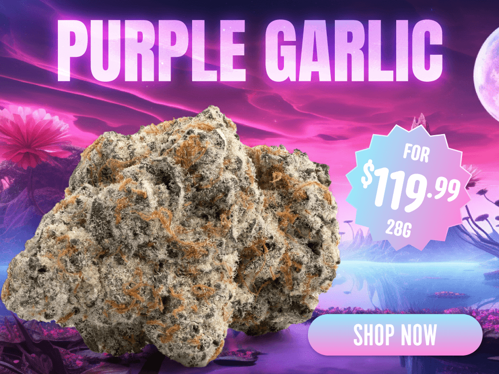 Purple-Garlic_mob