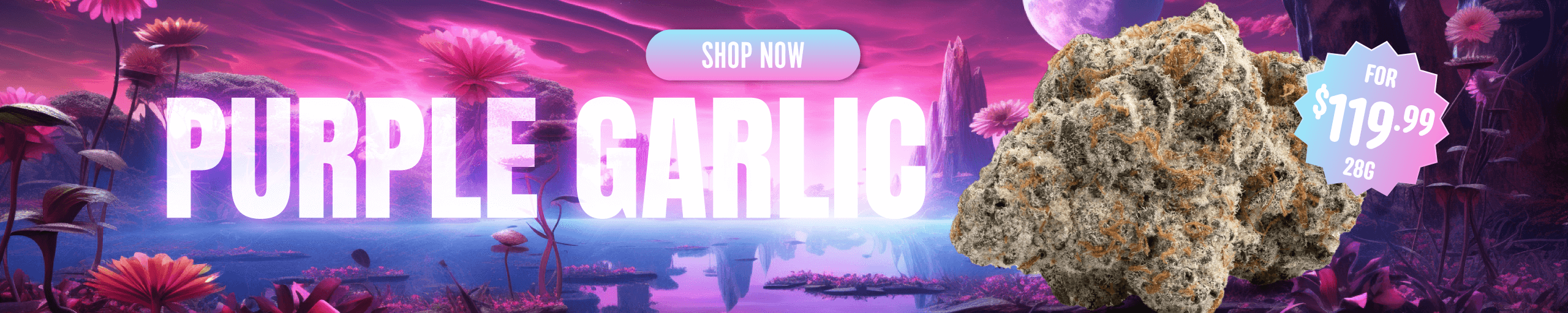 Purple-Garlic_web