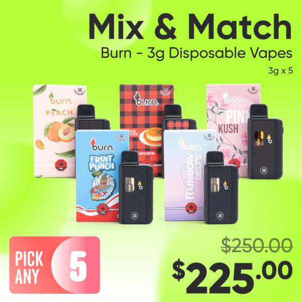 Burn - 3g Disposable Vapes