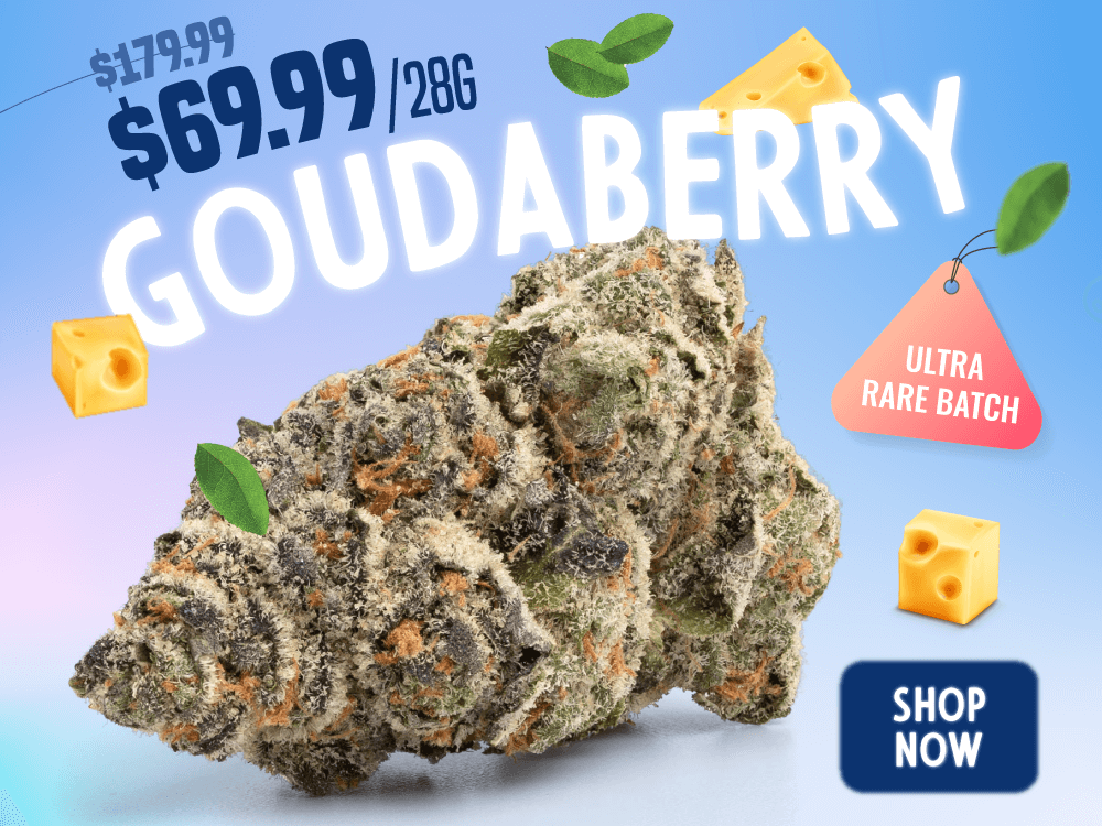 Goudaberry Mob 1