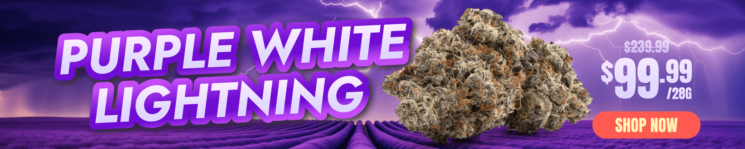 Purple White Lightning Web