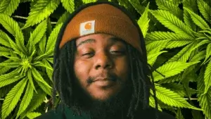 meaning of being stoned