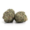 Animal Face Strain