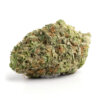 Jungle Cake 3