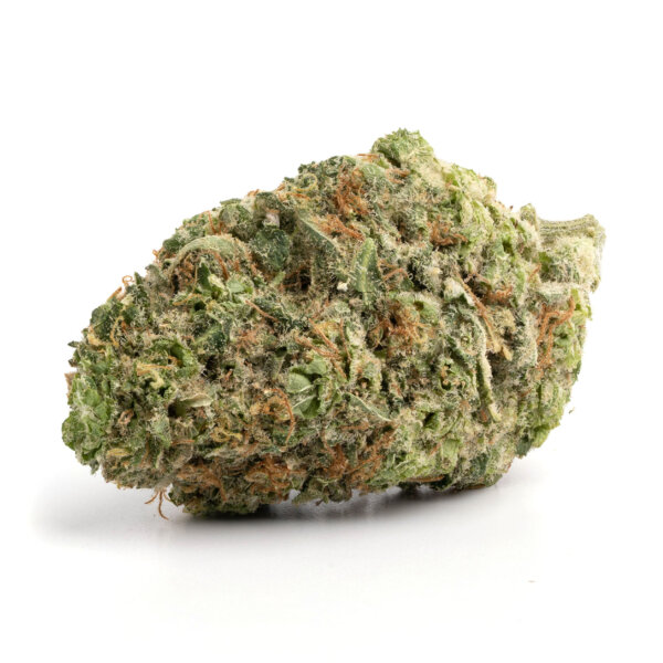 Jungle Cake 3