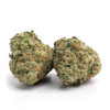 Jungle-Cake-5