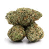 Jungle-Cake-6
