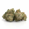 Pink-Lemonade-5