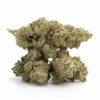 Pink-Lemonade-6