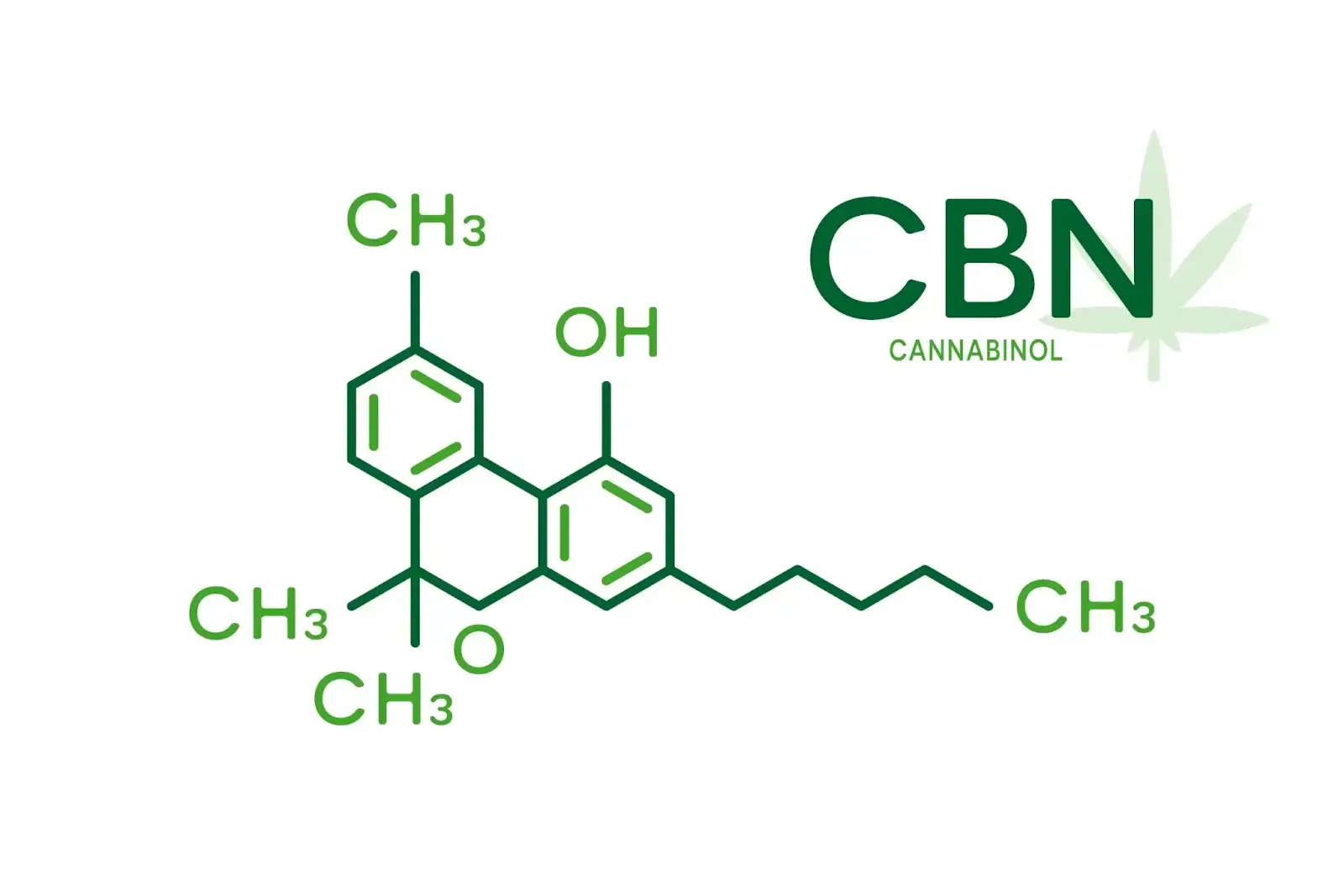 Cbn Vs Cbd: What'S The Difference? 1 Cbn Vs Cbd