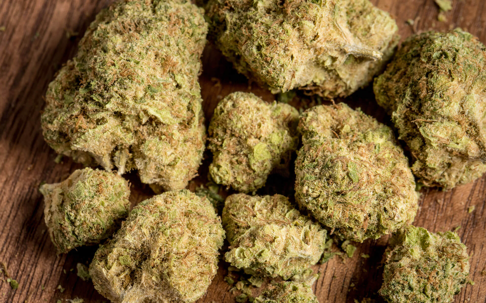 How To Tell The Difference Between Good and Bad Weed 1 good vs bad weed