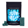 6g Gummies - Euphoria Psychedelics - Blue Raspberry