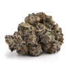 White Truffle Strain